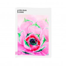 Quaderno A4 Maxi Colour Code Animals / Nature / Urbis Ass Femmina 