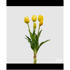 Bouquet di Tulipani EDG