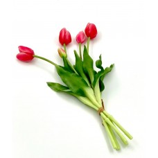 Bouquet di Tulipani EDG