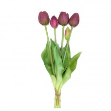 Bouquet di Tulipani EDG